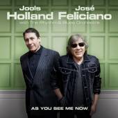 HOLLAND JOOLS & FELICIANO JO  - CD AS YOU SEE ME NOW