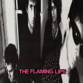 FLAMING LIPS  - VINYL IN A PRIEST DR..