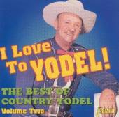 VARIOUS  - CD BEST OF COUNTRY YODEL,V 2