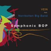  SYMPHONIC BOP -DIGISLEE- - supershop.sk