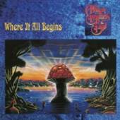 ALLMAN BROTHERS BAND  - 2xVINYL WHERE IT ALL..