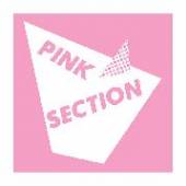 PINK SECTION  - VINYL PINK SECTION -DOWNLOAD- [VINYL]