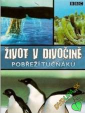  Život v divočině 6 - Pobřeží tučňáků (Wild South America: Penguin Shores) DVD - supershop.sk