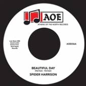 HARRISON SPIDER  - SI BEAUTIFUL DAY