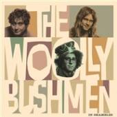 WOOLLY BUSHMEN  - VINYL IN SHAMBLES [VINYL]