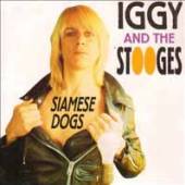  SIAMESE DOGS - supershop.sk