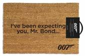  I'VE BEEN EXPECTING YOU (DOORMAT) - supershop.sk