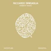 SINIGAGLIA RICCARDO  - VINYL AMBIENT MUSIC [VINYL]