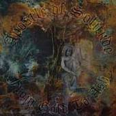 APOSTLE OF SOLITUDE  - VINYL FROM GOLD TO ASH [VINYL]