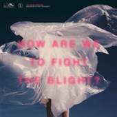  HOW ARE WE TO FIGHT THE.. [VINYL] - suprshop.cz