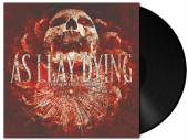  POWERLESS RISE [VINYL] - suprshop.cz