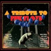 PINK FLOYD.=TRIB=  - 2xCD TRIBUTE TO PINK FLOYD