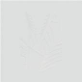  POPULAR SOVIET.. -LP+7- [VINYL] - supershop.sk