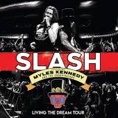  LIVING THE DREAM TOUR/LTD [VINYL] - suprshop.cz