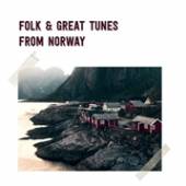VARIOUS  - CD FOLK & GREAT TUNES FROM..