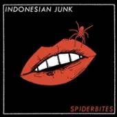 INDONESIAN JUNK  - CD SPIDERBITES