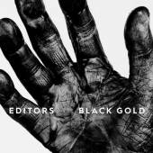  BLACK GOLD BEST OF EDITORS WHITE [VINYL] - suprshop.cz