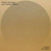 JEROME NOETINGER & ANTHONY PAT  - VINYL SUNSET FOR WALTER [VINYL]