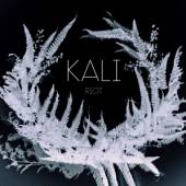 KALI  - CD RIOT