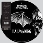  HAIL TO THE KING (PICTURE VINYL) [VINYL] - suprshop.cz
