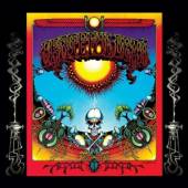  AOXOMOXOA -ANNIVERS/PD- [VINYL] - supershop.sk