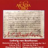 ARCADIA TRIO  - CD KLAVIERTRIOS