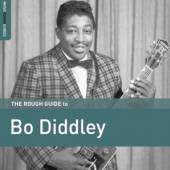  ROUGH GUIDE TO BO DIDDLEY - supershop.sk