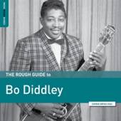  ROUGH GUIDE TO BO DIDDLEY [VINYL] - suprshop.cz