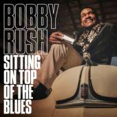 SITTING ON TOP OF THE BLUES [VINYL] - suprshop.cz