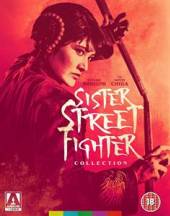 ANIME  - BR SISTER STREET FIGHTER..