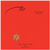 PAT METHENY  - CD JOHN ZORN: TAP: T..