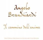 BRANDUARDI ANGELO  - CD IL CAMMINO DELL'ANIMA