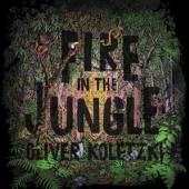 KOLETZKI OLIVER  - VINYL FIRE IN THE JUNGLE [VINYL]