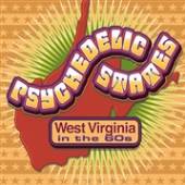 VARIOUS  - CD PSYCHEDELIC STATES:..