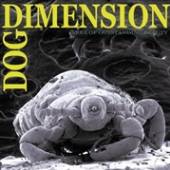 DOG DIMENSION  - VINYL AREA OF OUTSTANDING.. [VINYL]