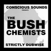 BUSH CHEMISTS  - VINYL STRICTLY DUBWISE [LTD] [VINYL]