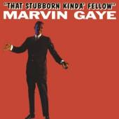 GAYE MARVIN  - CD THAT STUBBORN KINDA..