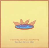  EVERYTHING ELSE HAS GONE WRONG - DLX EDT [VINYL] - supershop.sk