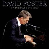 FOSTER DAVID  - CD AN INTIMATE EVENING