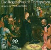REGENSBURGER DOMSPATZEN/SCHREM  - CD DIE REGENSBURGER ..