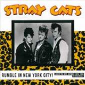  RUMBLE IN NEW YORK CITY [VINYL] - supershop.sk
