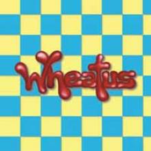  WHEATUS -TURQUOISE- / 180GR./4P BOOKLET/20TH ANN./1000 CPS ON TURQUOISE VINYL [VINYL] - supershop.sk