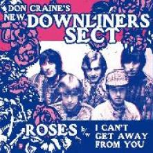 DOWNLINERS SECT  - SI ROSES /7