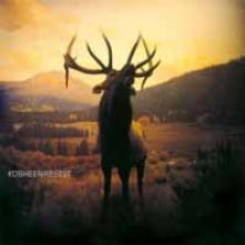  RESIST -HQ/GATEFOLD- [VINYL] - suprshop.cz
