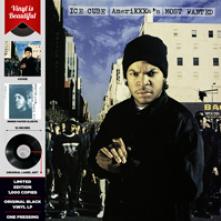 AMERIKKKAS MOST WANTED [VINYL] - supershop.sk