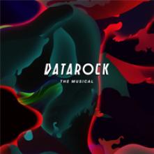DATAROCK  - VINYL MUSICAL [VINYL]