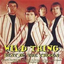 TROGGS  - CD WHILD THING - BEST OF