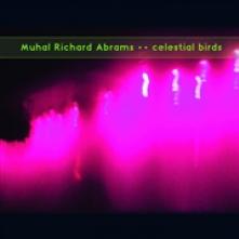 ABRAMS MUHAL RICHARD  - VINYL CELESTIAL BIRDS [VINYL]