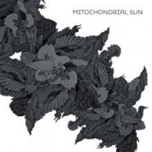 MITOCHONDRIAL SUN  - CD MITOCHONDRIAL SUN