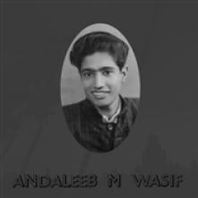 WASIF ANDALEEB M.  - VINYL ANDALEEB M. WASIF [VINYL]